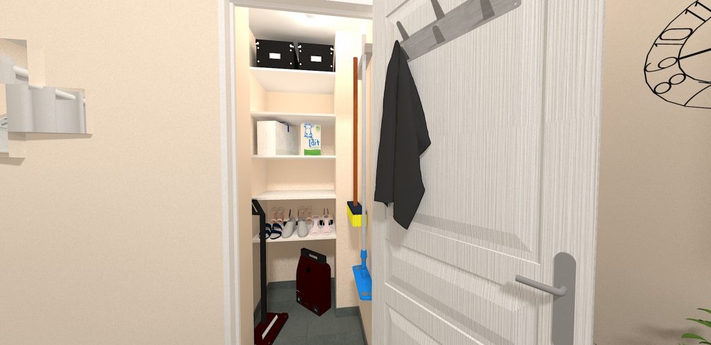 visuel 3d placard de rangement